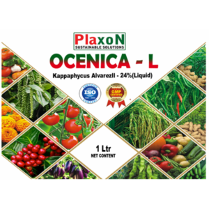 Plaxon Ocenica-L