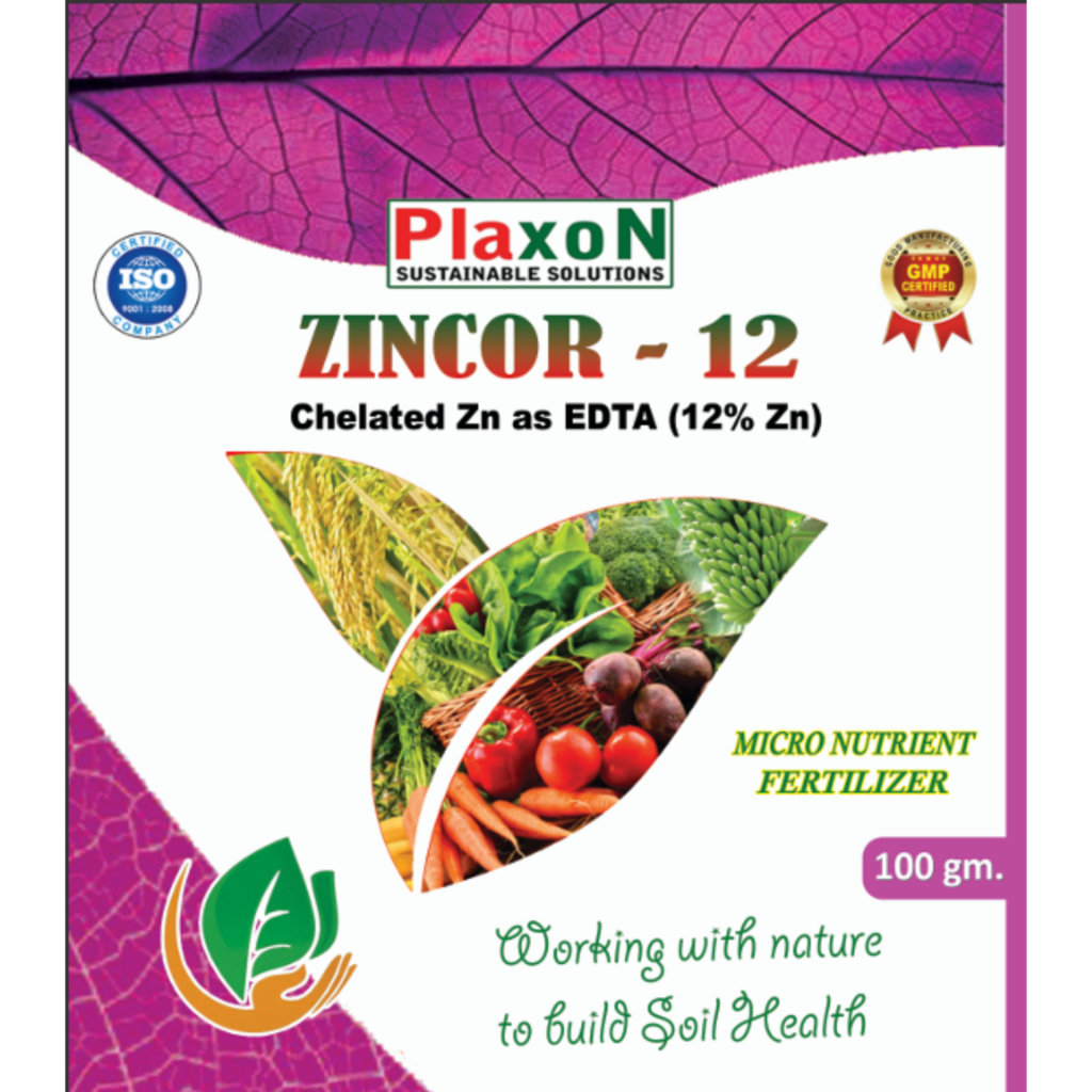 Plaxon Zincor 12