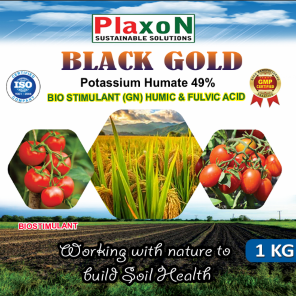Plaxon Black Gold