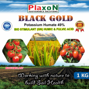 Plaxon Black Gold