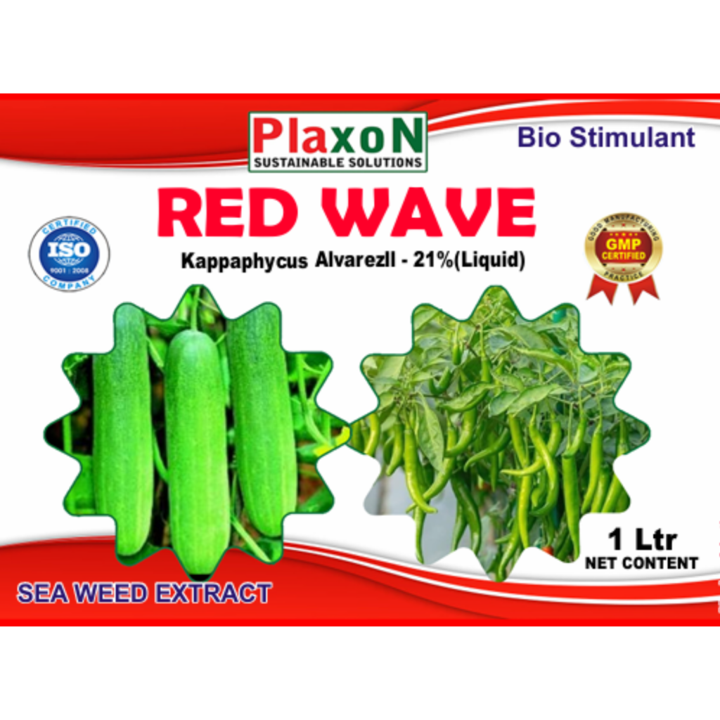Plaxon Red Wave