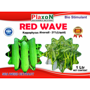 Plaxon Red Wave