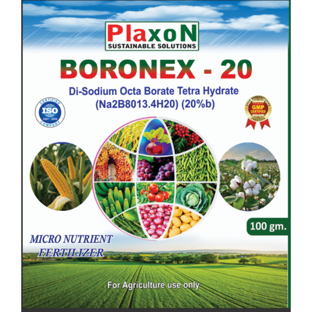 Plaxon Boronex-20